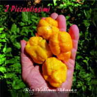 Big Yellow Manma.jpg (2066798 byte)