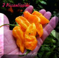 Fatalii.jpg (2008368 byte)