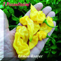 Lemon Reaper.jpg (2006619 byte)