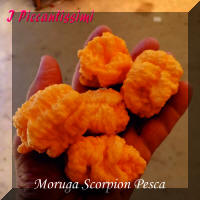Scorpion Pesca.jpg (1979401 byte)